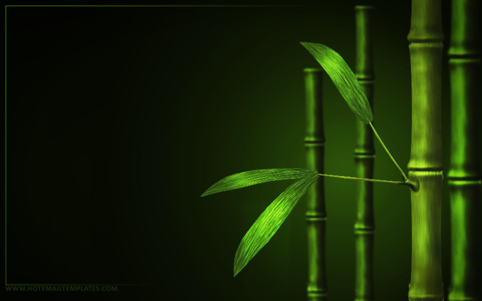 Bamboo mac os x